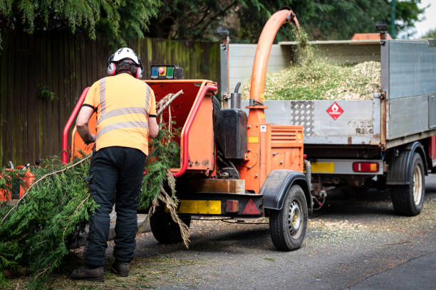 Best Tree Pruning Services  in State College, PA